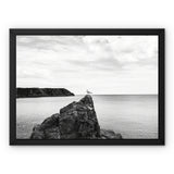 Gower Seagull Framed Canvas