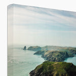 Skomer Island Canvas