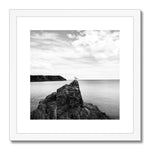 Gower Seagull Framed & Mounted Print