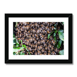 The Hive Framed & Mounted Print