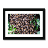 The Hive Framed & Mounted Print