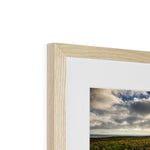 Rhossili Sunflowers Framed & Mounted Print