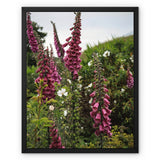 Foxgloves Framed Canvas