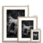 Horns Framed & Mounted Print