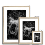 Horns Framed & Mounted Print