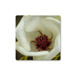 Elle Maree Coaster