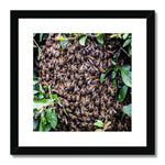 The Hive Framed & Mounted Print
