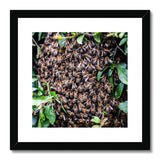 The Hive Framed & Mounted Print