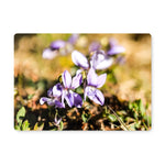 Wild Violets Placemat