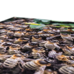 The Hive Canvas
