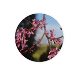 Pink Cercis Glass Chopping Board