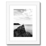 Gower Seagull Framed & Mounted Print