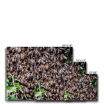 The Hive Canvas