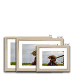 Red Panda Framed & Mounted Print