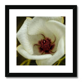 Elle Maree Framed & Mounted Print