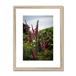 Foxgloves Framed & Mounted Print