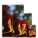 Fiore Italiano Canvas
