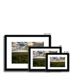 Rhossili Sunflowers Framed & Mounted Print