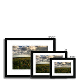 Rhossili Sunflowers Framed & Mounted Print