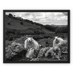 Llyn y Fan Sheep Framed Canvas