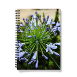 African Lily Notebook