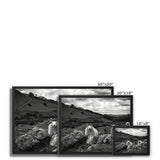 Llyn y Fan Sheep Framed Canvas