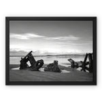 Shipwreck Framed Canvas