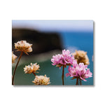 Flores Canvas