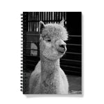 Alpaca Notebook