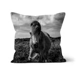 Whitesands Pony Cushion