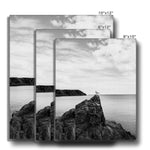 Gower Seagull Canvas