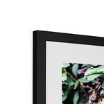 The Hive Framed & Mounted Print