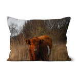 Welsh Cow Cushion