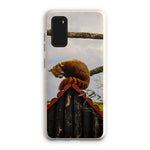 Red Panda Eco Phone Case