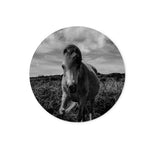 Whitesands Pony Glass Chopping Board
