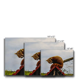 Red Panda Canvas