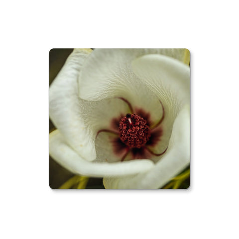 Elle Maree Coaster