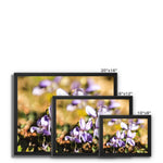 Wild Violets Framed Canvas