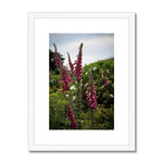 Foxgloves Framed & Mounted Print