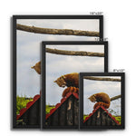 Red Panda Framed Canvas