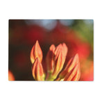 Fiore Italiano Glass Chopping Board