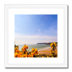 Caswell In Bloom Framed & Mounted Print
