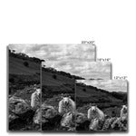 Llyn y Fan Sheep Canvas