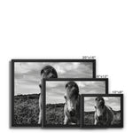 Whitesands Pony Framed Canvas