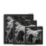 Horns Framed Canvas