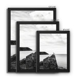Gower Seagull Framed Canvas