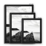 Gower Seagull Framed Canvas