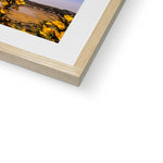 Caswell In Bloom Framed & Mounted Print