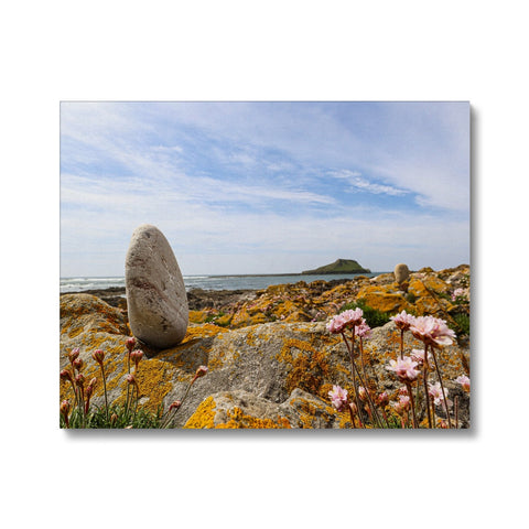 Worm's Head Canvas
