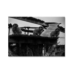 Lookout Fine Art Print